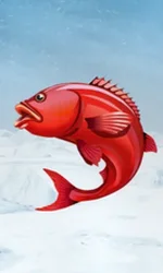 Ice Fishing