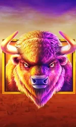 Buffalo King